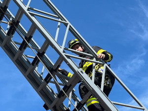Kamera ve frýdlantském čapím hnízdě je vyčištěná, za rok bude se zoomem a zvukem