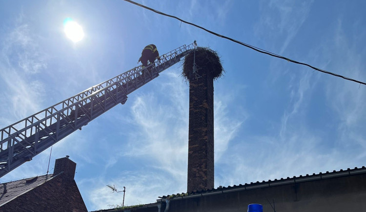 Kamera ve frýdlantském čapím hnízdě je vyčištěná, za rok bude se zoomem a zvukem.