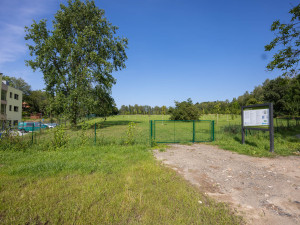 Hrušky nebo švestky hledají lidé v Hrádku v městském ovocném sadu marně. Úrodu spálil na jaře silný mráz