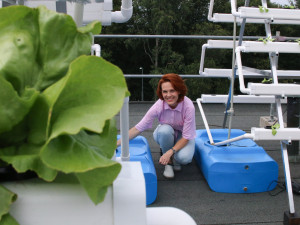 Jak využít střechy hal? Doktorandka liberecké univerzity přišla s hydroponickou farmou