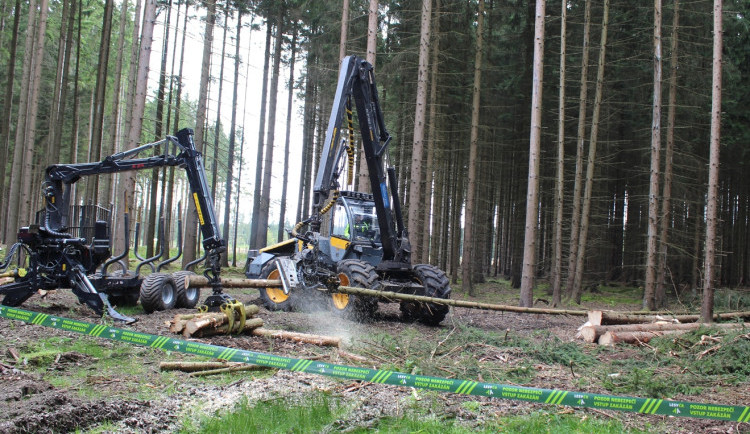 Tropy, které udeří o víkendu, hrají do karet kůrovci. Lesníci a správci lesů na Vysočině by se měli mít na pozoru