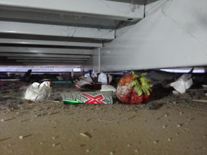 V prodejně potravin v Osečné našli hygienici mrtvou myš a všudypřítomnou špínu. S okamžitou platností ji zavřeli