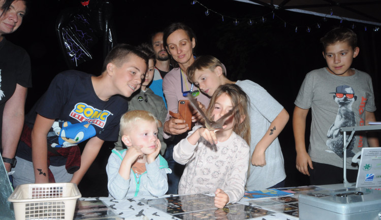 V Panském lomu u Liberce budou večer v hlavní roli netopýři. Netopýří noc tu pro veřejnost připravují už po 28.