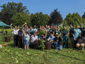 Ve Frýdlantu se česal chmel. Uvaří z něj dvanáctku Hospodáře