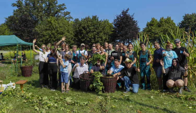 Ve Frýdlantu se česal chmel. Uvaří z něj dvanáctku Hospodáře
