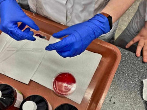 Ve Frýdlantě v příštím školním roce otevřou pro středoškoláky přírodovědné lyceum, první v kraji