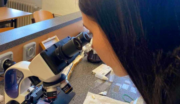 Ve Frýdlantě v příštím školním roce otevřou pro středoškoláky přírodovědné lyceum, první v kraji