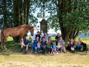 Wohlmannovy lípy ve Václavicích bojují v anketě Strom roku 2024, podpořit je lze do 30. září