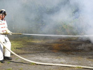 Kapely, soutěže i ukázky hasičů. Na Spáleništi slavnostně otevřeli víceúčelové hřiště