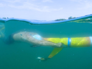 Liberečtí orientační potápěči Aqua klubu Liberec excelovali na mistrovství Evropy v Německu