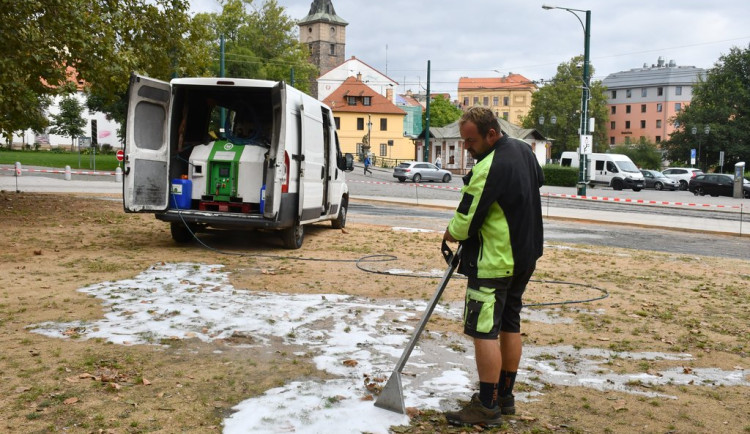 Plevel se hubí v sadovém okruhu speciální metodou za použití horké vody a kukuřičného škrobu