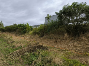 Mezi Ohrazenicemi a Paceřicemi roste u rychlostní silnice oplocení proti zvěři