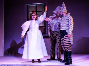 Opera v Liberci bude po 27 letech hrát na malé scéně. Chystá originální projekt, premiéra je už v pátek