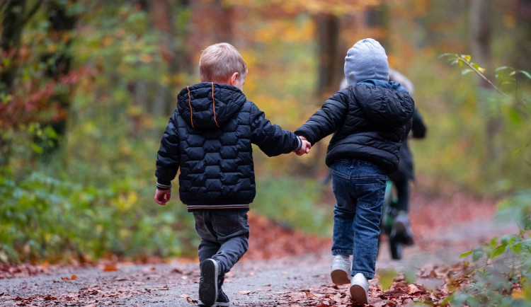 V Proseči nad Nisou vznikne lesní mateřská školka