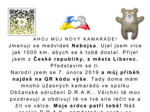 Sdružení D.R.A.K. vyslalo Medvídka Nebojsu do světa. Pomáhá dětem v kyjevské nemocnici