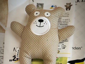 Sdružení D.R.A.K. vyslalo Medvídka Nebojsu do světa. Pomáhá dětem v kyjevské nemocnici