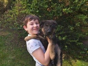 (NE)OBYČEJNÍ: Vůbec jsem tomu nemohl uvěřit. Jako nejmladší v historii Tomáš se psem Corrym získal Liberecký pohár