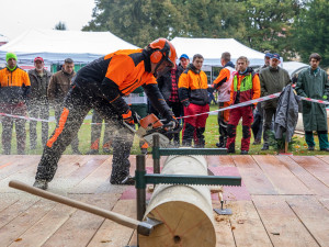 Frýdlantský park bude ve středu a ve čtvrtek hostit soutěž středoškolských týmů Jizerský dřevorubec