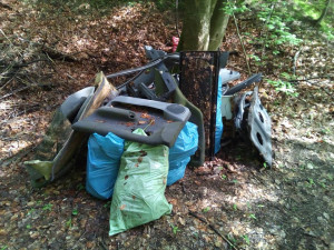 Od pátku do neděle mohou dobrovolníci v rámci akce Ukliďme Jizerky pomoci vyčistit Jizerské hory od odpadků