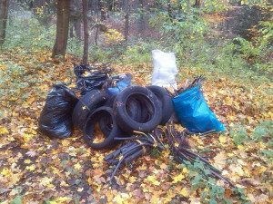 Od pátku do neděle mohou dobrovolníci v rámci akce Ukliďme Jizerky pomoci vyčistit Jizerské hory od odpadků