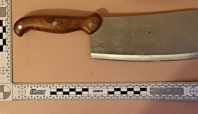 V Liberci začal soud s mužem, který loni v Novém Boru zabil svoji družku