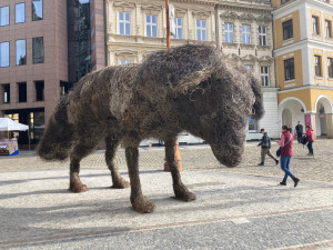 Drátěný pes zůstane u liberecké radnice až do června příštího roku