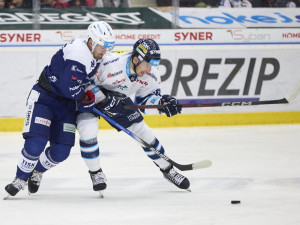 Tygři dotáhli proti Brnu třígólový rozdíl, nakonec ale odcházejí bez bodu