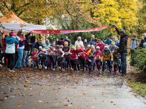 Liberec zve ve svátek na Den otevřených dveří radnice a paláce Liebieg, Jablonec na oslavy 130 let Sokola