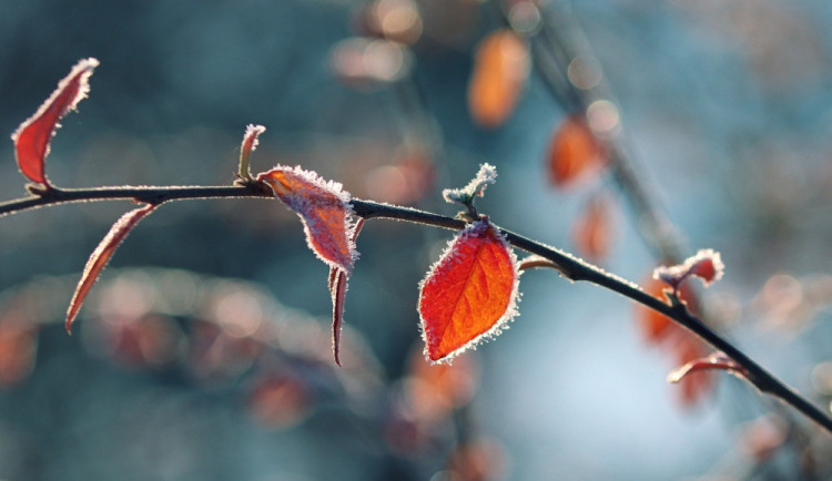 Tento týden bude proměnlivý. Závěrem už může začít mrznout