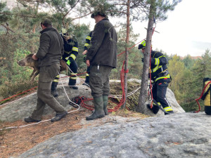 Premiérový zásah profi hasičů v kraji – na Hruboskalsku  zachraňovali ze skalní průrvy 11 divočáků