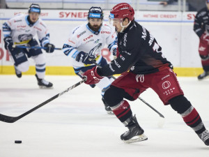 Tygři doma znovu mocně dotahovali, tři body ale bere Hradec. Tygři s ním prohráli 3:4