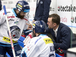 Tygři doma znovu mocně dotahovali, tři body ale bere Hradec. Tygři s ním prohráli 3:4