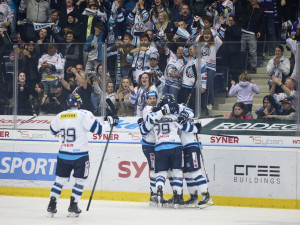 Tygři doma znovu mocně dotahovali, tři body ale bere Hradec. Tygři s ním prohráli 3:4