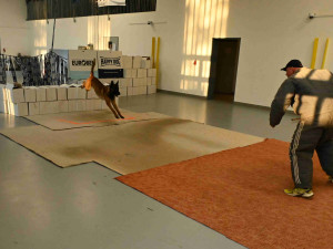 Psovodi vzpomínali kynologickou soutěží i potleskem na kolegu, který zahynul v Afghánistánu