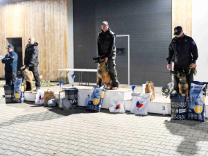 Psovodi vzpomínali kynologickou soutěží i potleskem na kolegu, který zahynul v Afghánistánu