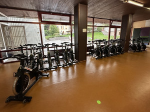 Vybavení posilovny libereckého bazénu jde do dražby