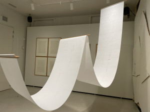 Svět ptáků a uvolněná atmosféra 60. let v Liberci. To vše přibližují listopadové výstavy oblastní galerie