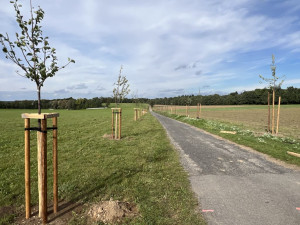 Frýdlant vysadil novou ovocnou alej ze 141 stromů, využil na to dotaci