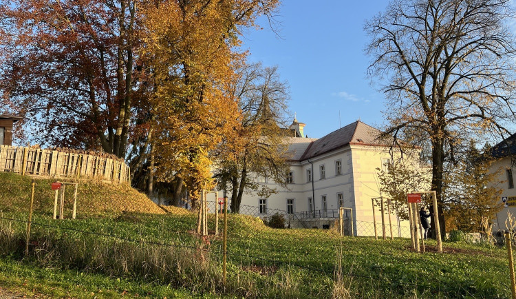 V Nové Pace obnovují lesopark v areálu kláštera. Zeleň dostane druhou šanci