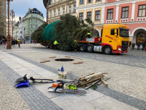 Vánoční strom Liberce už je před radnicí. Letos jde o 14 a půl metru vysokou jedli ojíněnou