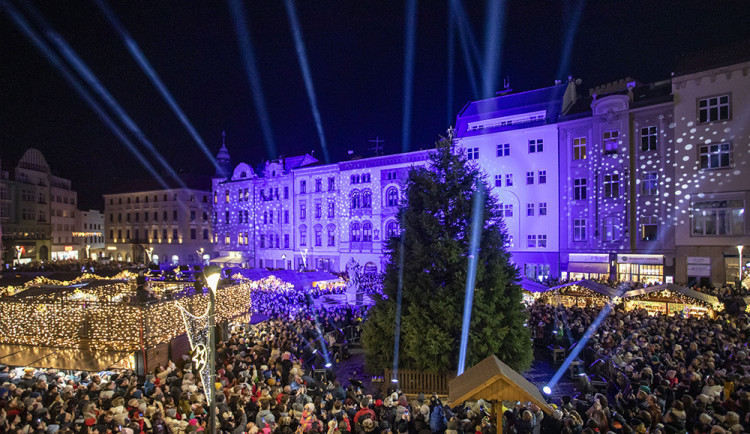 ANKETA: Olomoucký vánoční strom bez baněk. Výjimečný sekvojovec má obdivovatele i kritiky