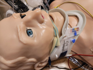 Turnovská zdravotnická škola získala nové Centrum odborného výcviku za 56,4 milionu korun