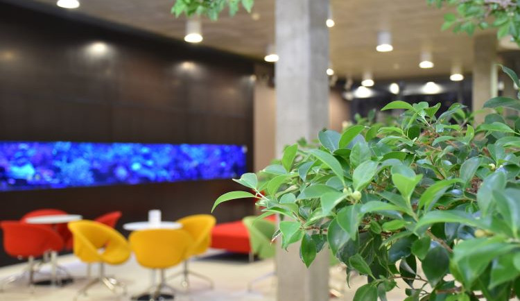 Unikátní léčba rakoviny: Protonové centrum v Praze slaví významné výročí