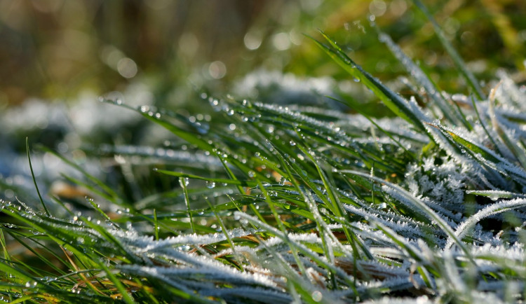 Před oteplením v příštím týdnu nás čeká chladný víkend