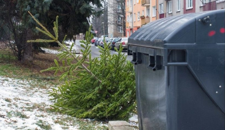 Svoz vánočních stromků začne v Liberci a Jablonci nad Nisou v pondělí