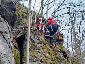 Pes utekl za srnkou, uvázl na skalní stěně. Pomoct museli hasiči
