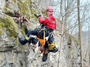 Pes utekl za srnkou, uvázl na skalní stěně. Pomoct museli hasiči