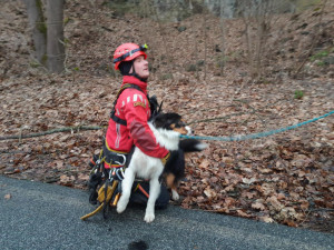 Pes utekl za srnkou, uvázl na skalní stěně. Pomoct museli hasiči