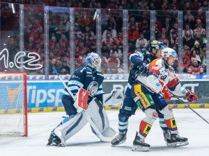 Další vítězství! Tygři skolili Pardubice povedeným závěrečným dějstvím, na jejich ledě vyhráli 3:2