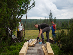 Do ochrany přírody vložila loni Nadace Ivana Dejmala 3,6 milionu korun. Vysadila například 60 tisíc stromů